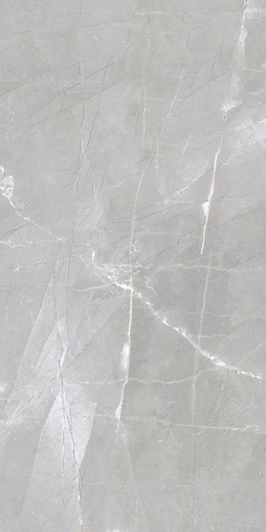 Luxury Amani Grey Matte 12 x 24